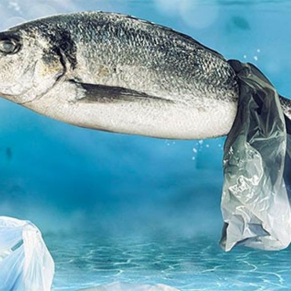 Microplastic determination